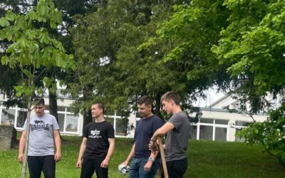 Dan planeta Zemlje- sadnja divljeg kestena