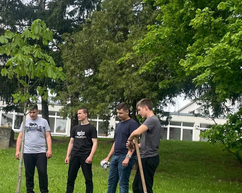 Dan planeta Zemlje- sadnja divljeg kestena