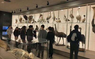 Terenska nastava u Zagrebu – 7. razredi